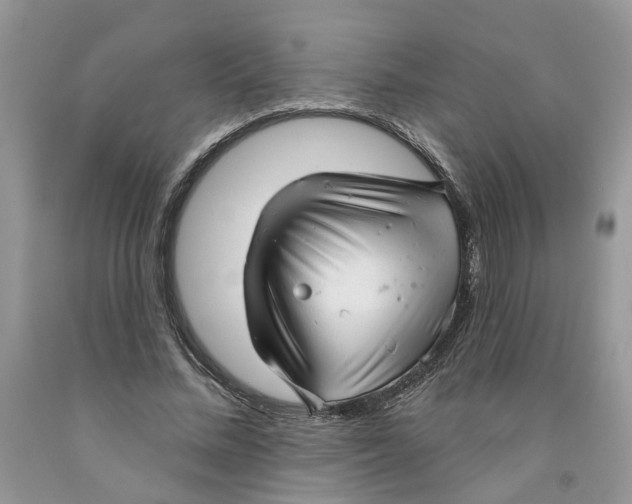 X0000091290684200709071033