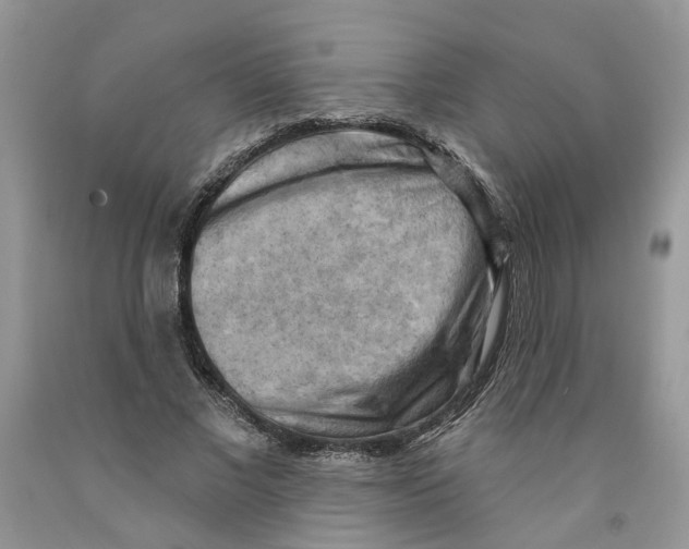 X0000091290685200709071033