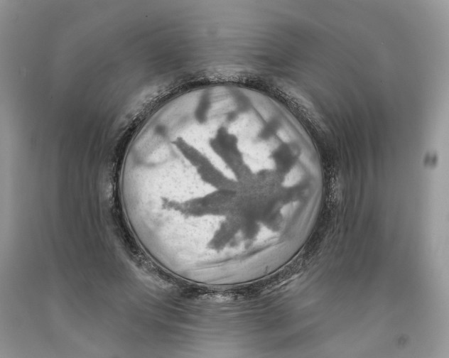 X0000091290687200709071033