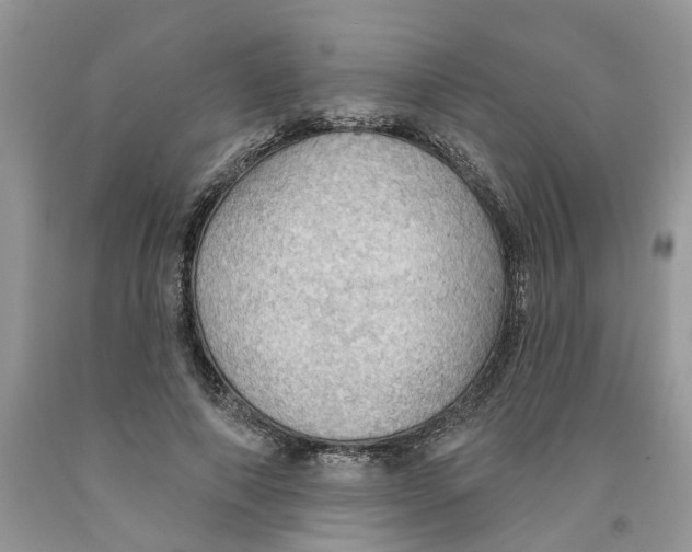 X0000091290690200709071032