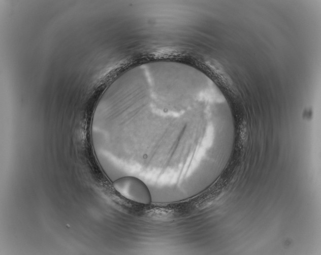 X0000091290691200709071032