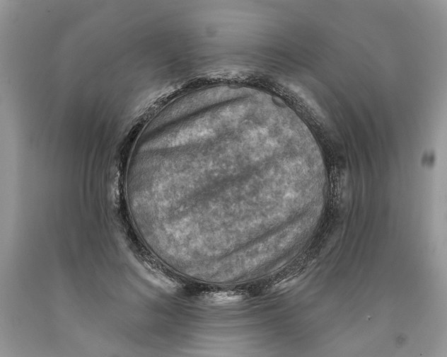 X0000091290692200709071032