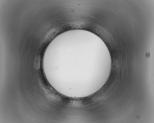 X0000091290694200709071032