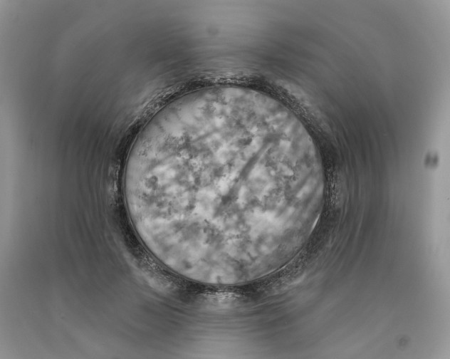 X0000091290695200709071032