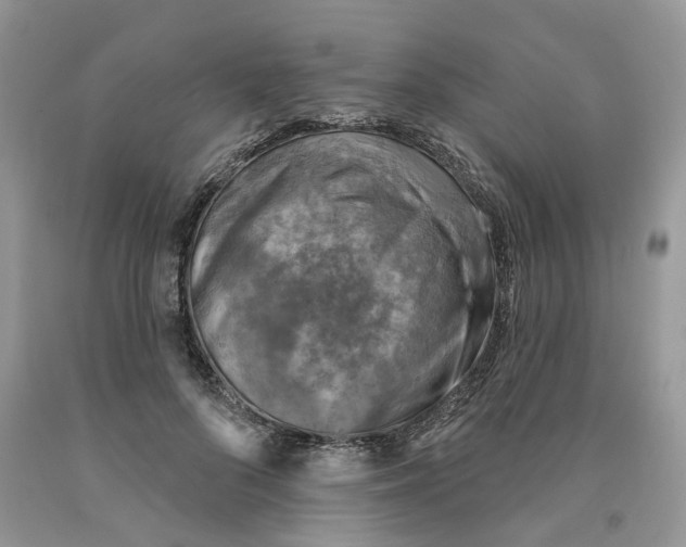 X0000091290696200709071032