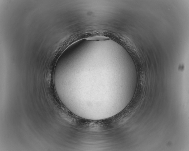 X0000091290697200709071032