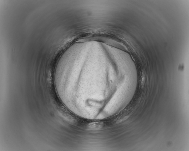 X0000091290700200709071032