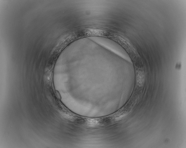 X0000091290701200709071032