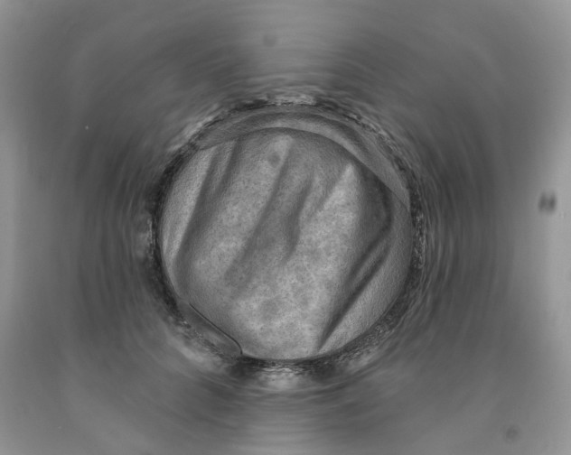 X0000091290704200709071032