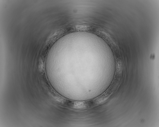 X0000091290705200709071032