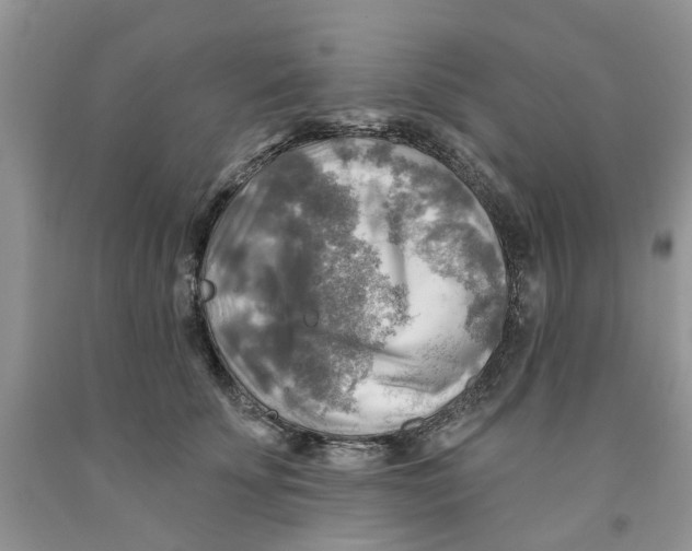 X0000091290707200709071032