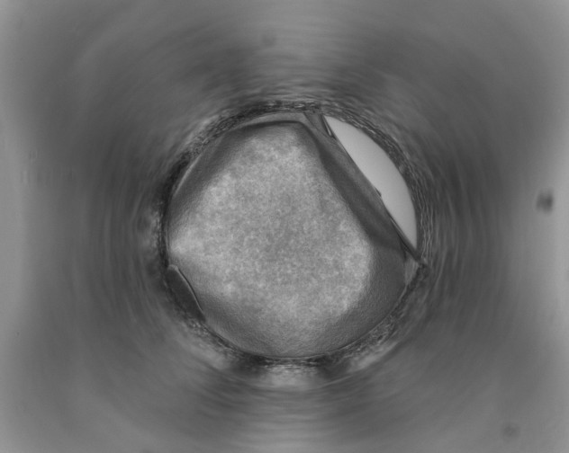 X0000091290708200709071032