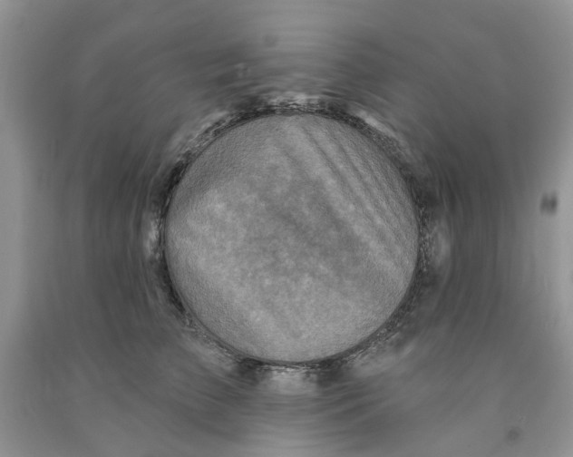 X0000091290709200709071032