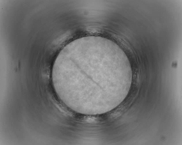 X0000091290710200709071032