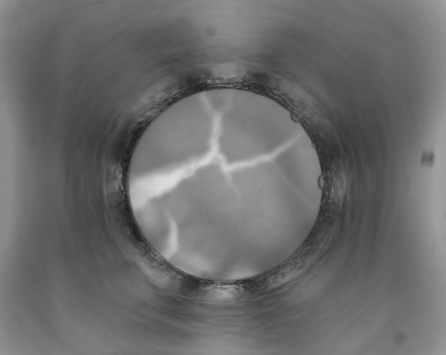 X0000091290711200709071032