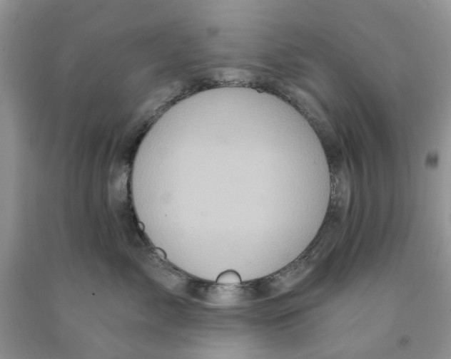 X0000091290717200709071032