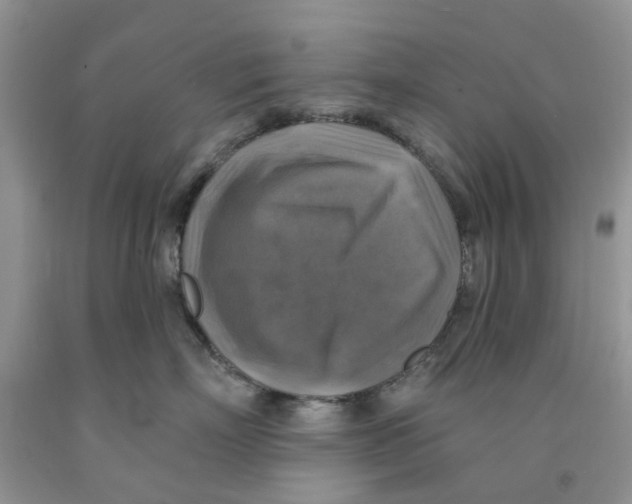 X0000091290718200709071032