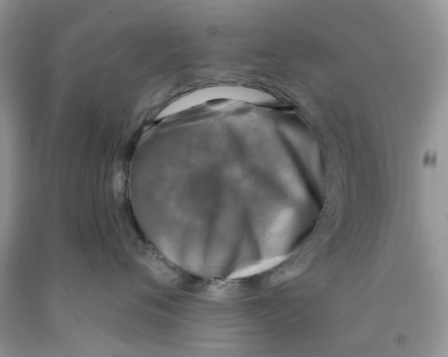 X0000091290720200709071032