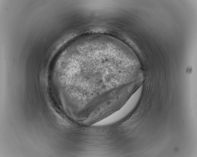 X0000091290722200709071032