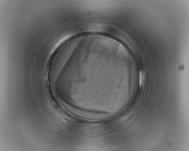 X0000091290723200709071032