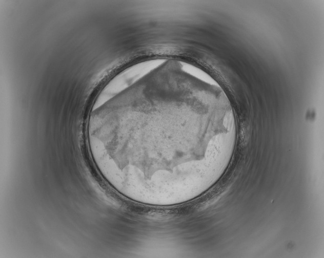 X0000091290725200709071032