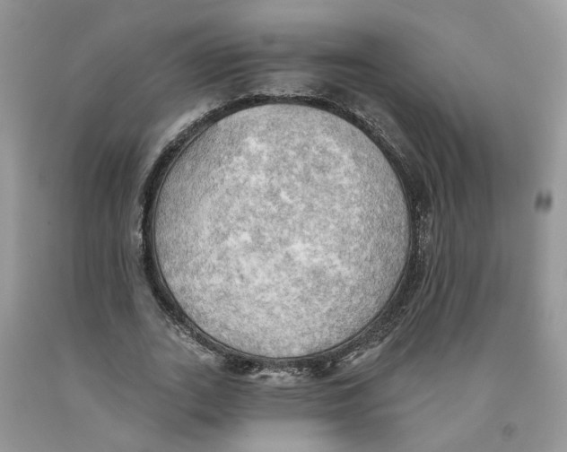 X0000091290727200709071032