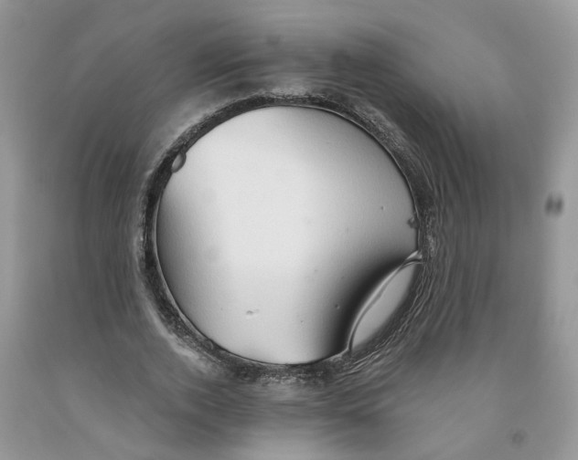 X0000091290728200709071032