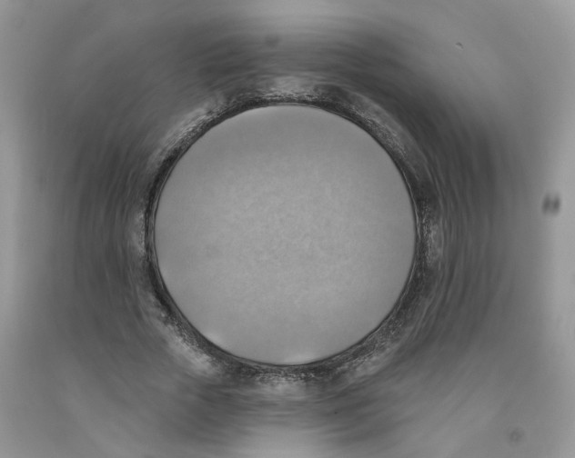 X0000091290729200709071032