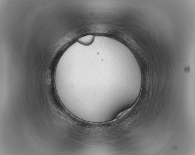 X0000091290731200709071032