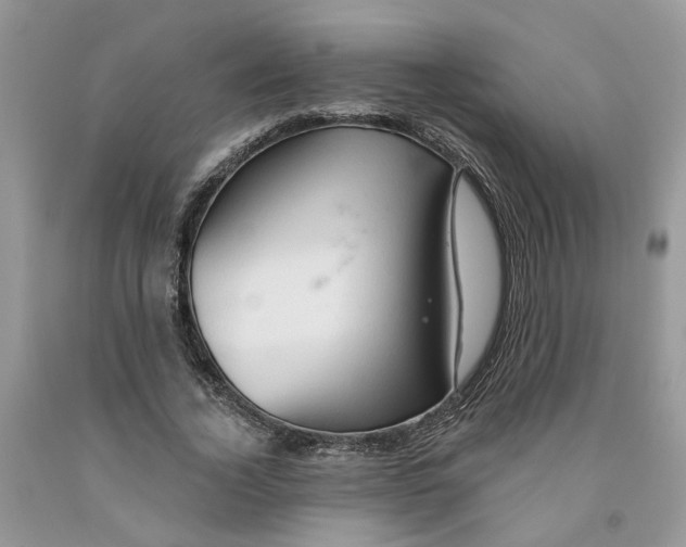 X0000091290732200709071032