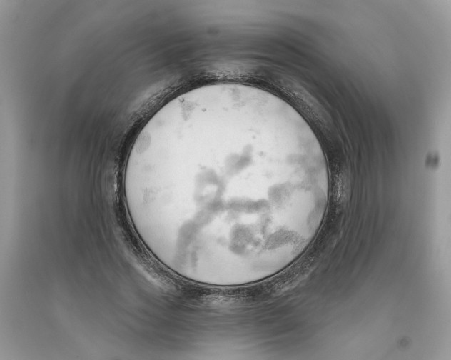 X0000091290733200709071032