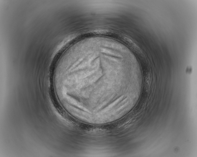 X0000091290734200709071032