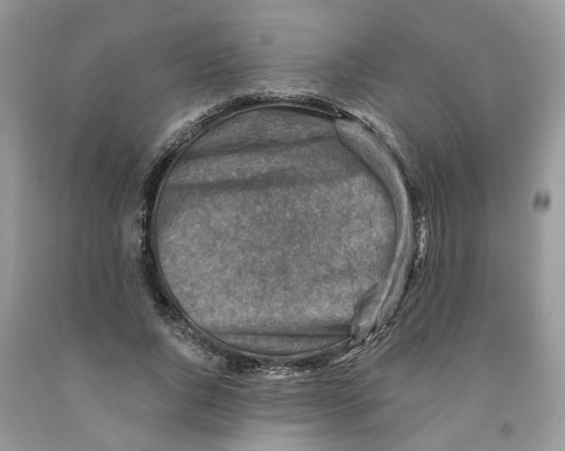 X0000091290736200709071032