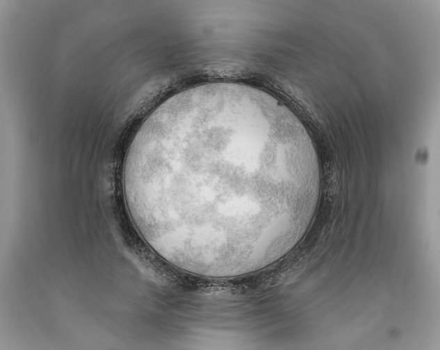 X0000091290738200709071032