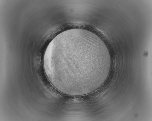 X0000091290739200709071032