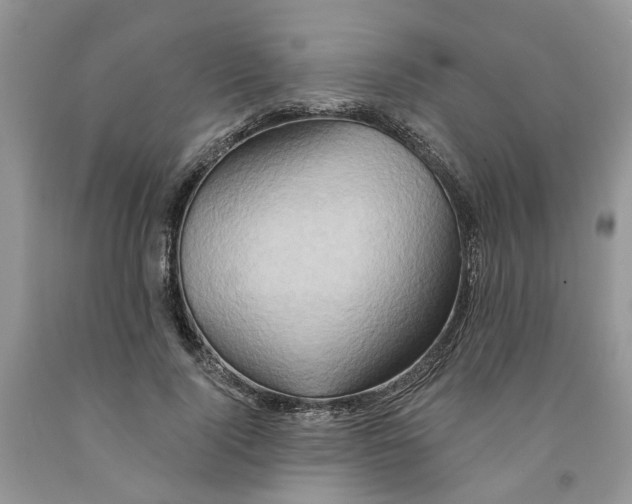 X0000091290740200709071032