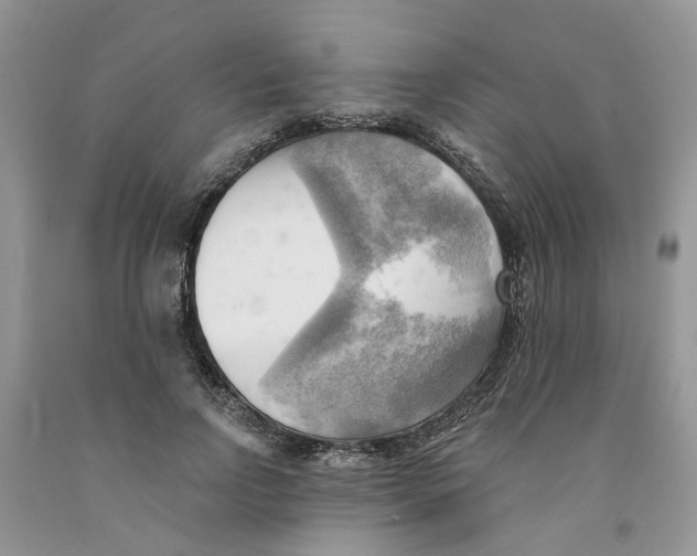 X0000091290742200709071032