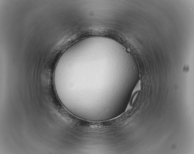 X0000091290744200709071032