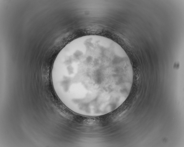 X0000091290745200709071032