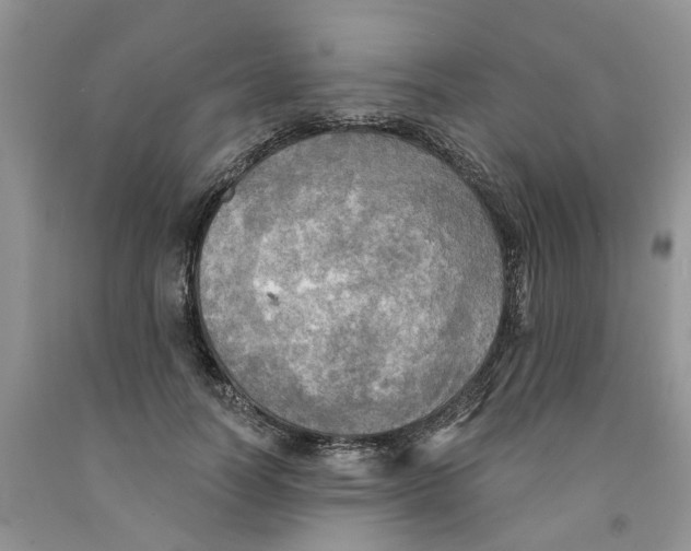 X0000091290746200709071032