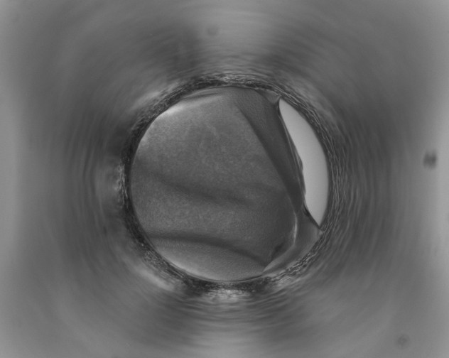 X0000091290748200709071032