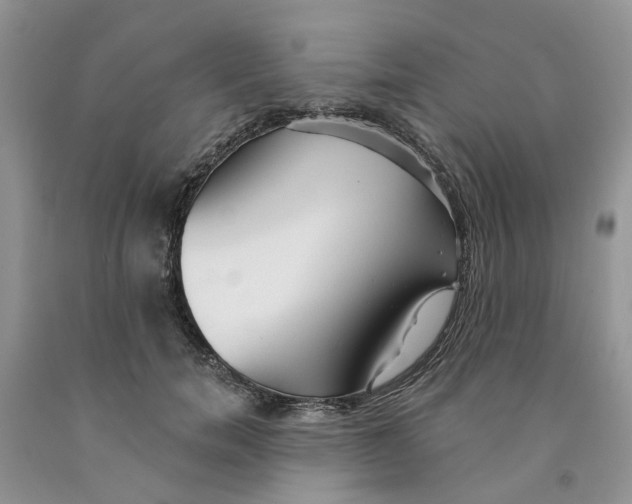 X0000091290750200709071032