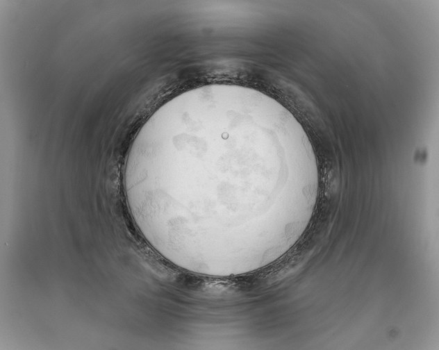 X0000091290753200709071032