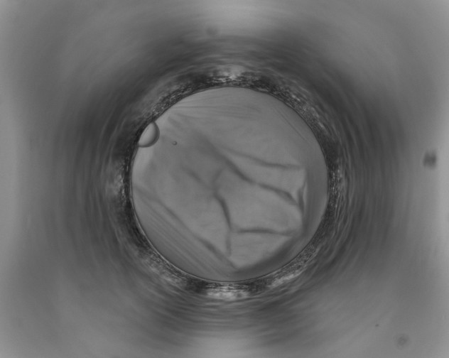 X0000091290754200709071032