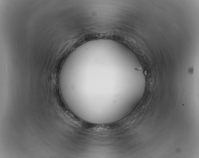 X0000091290756200709071032