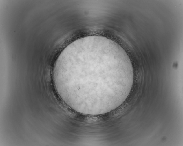 X0000091290757200709071032