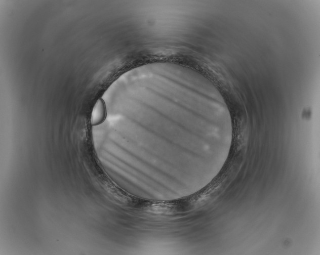 X0000091290758200709071032