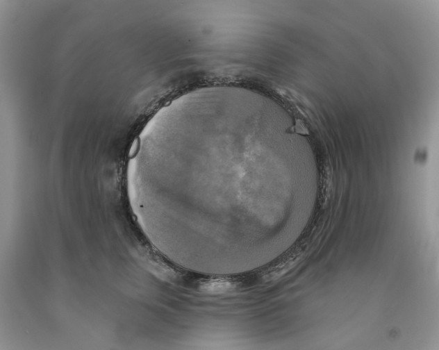 X0000091290759200709071032