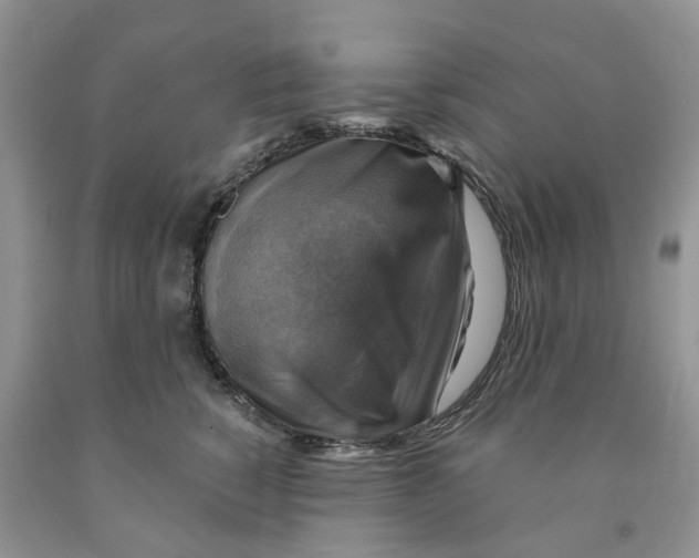 X0000091290760200709071032