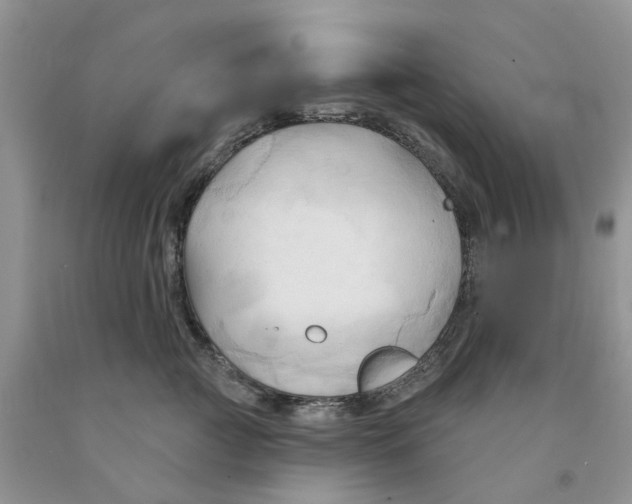 X0000091290761200709071032